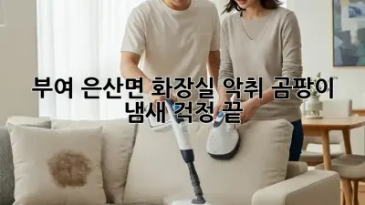 부여 은산면 화장실 악취? 곰팡이 냄새? 걱정 끝!